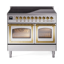 Stainless steel induction range with glass oven doors and brass control knobs