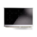 Black glass oven door window panel with speckled design for induction range