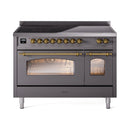 Matte graphite induction range with brass-trim dual oven doors and viewing windows