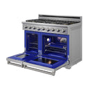 Thor Kitchen 48-Inch Professional Natural Gas Range in Stainless Steel (XRG48E)