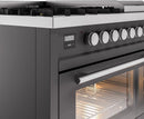 ILVE 48-Inch Professional Plus II Freestanding Dual Fuel Range with 8 Sealed Burner and Removable Griddle in Matte Graphite (UP48FWMPMG)