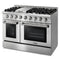 Thor Kitchen 2-Piece Pro Appliance Package - 48" Gas Range & Premium Hood in Stainless Steel Appliance Package Thor Kitchen 