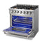 Thor Kitchen 3-Piece Pro Appliance Package - 36" Gas Range, Dishwasher & Refrigerator in Stainless Steel Appliance Package Thor Kitchen 
