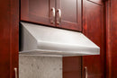 Thor Kitchen 30-inch Under Cabinet Range Hood in Stainless Steel with 1000 CFM Motor (TRH3005)